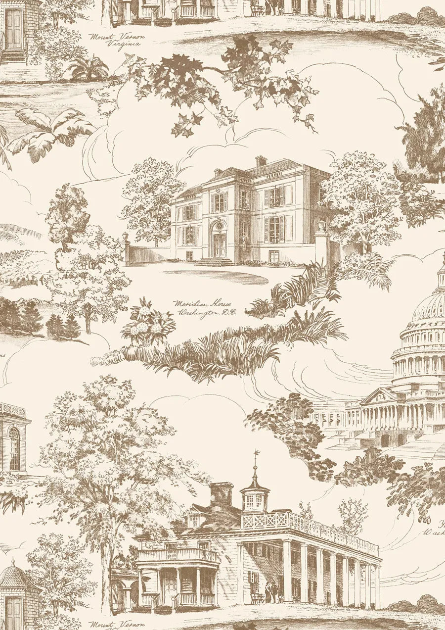 Lewis & Wood Washington Toile Vintage Made to Measure Roman Blinds – close-up