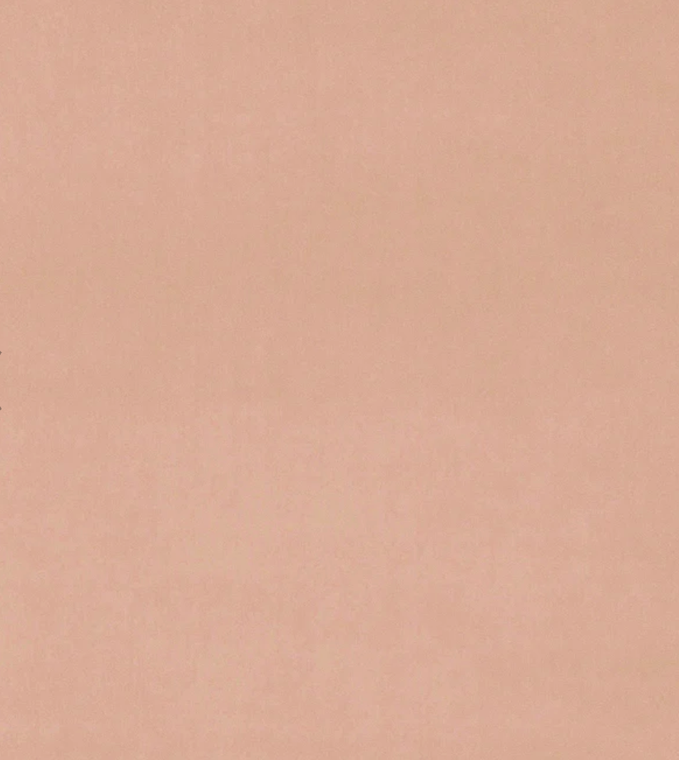 Blush - Omega iii Velvet by Linwood - Fabric, Curtains, Roman Blinds