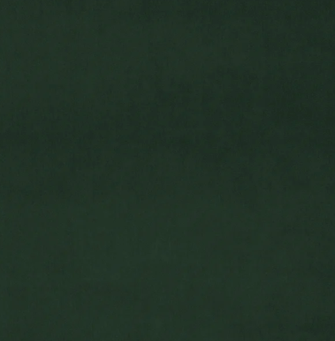 Hunter Green - Omega iii Velvet by Linwood - Fabric, Curtains, Roman Blinds