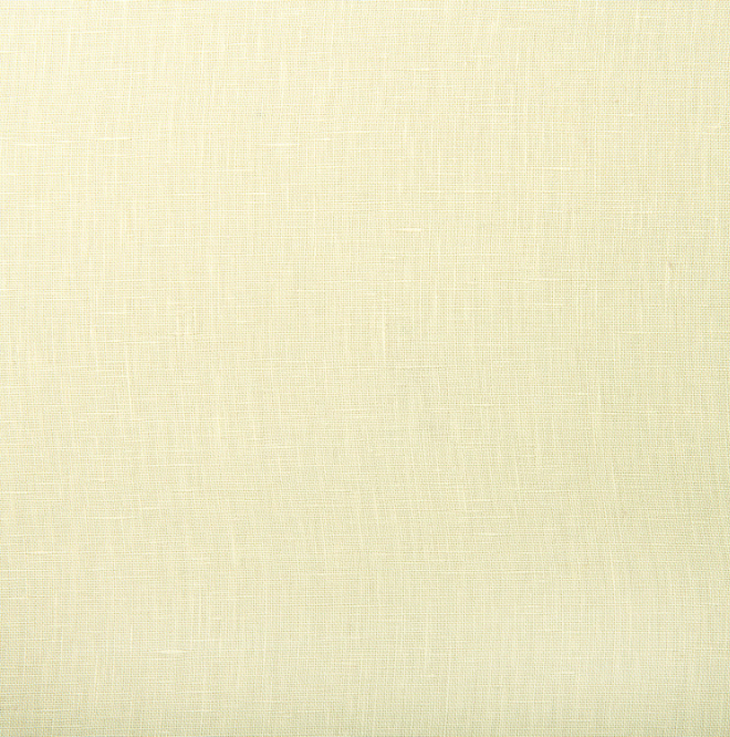 Pale Rider - Marietta Linen by Linwood - fabric