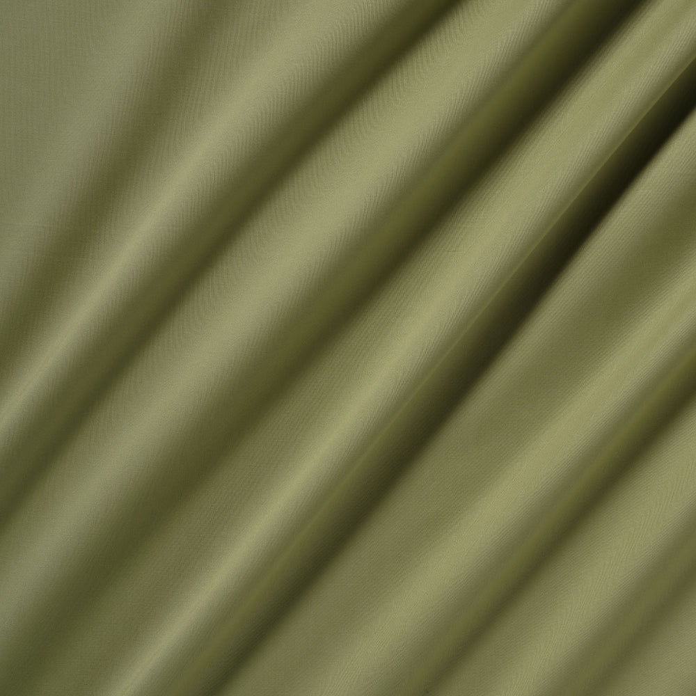 Chelsea Aloe