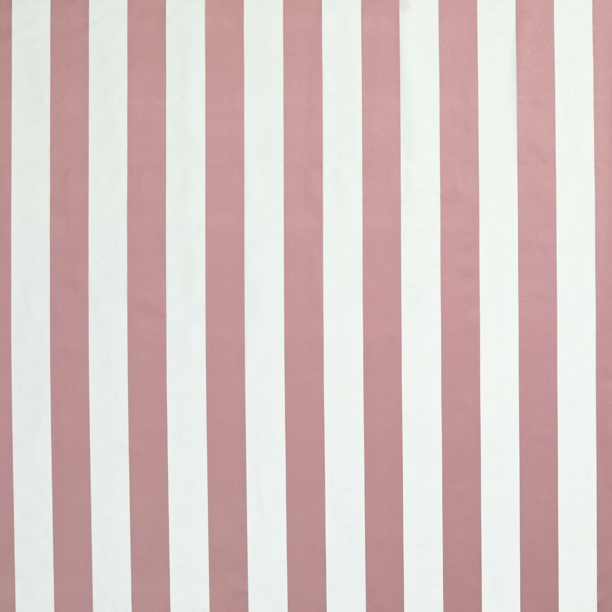 James Hare Rococo Stripe Fawn Pink Made to Measure Roman Blinds