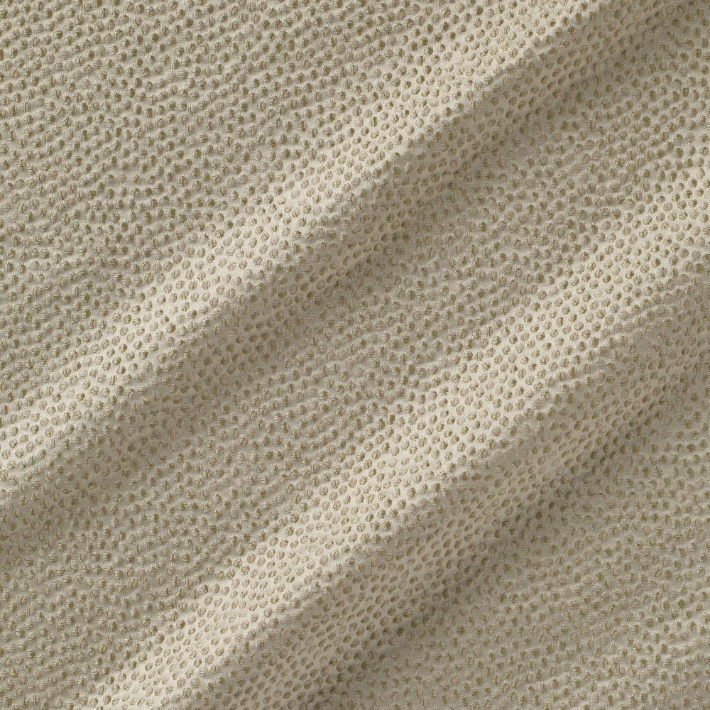 Shagreen Silk Lentil
