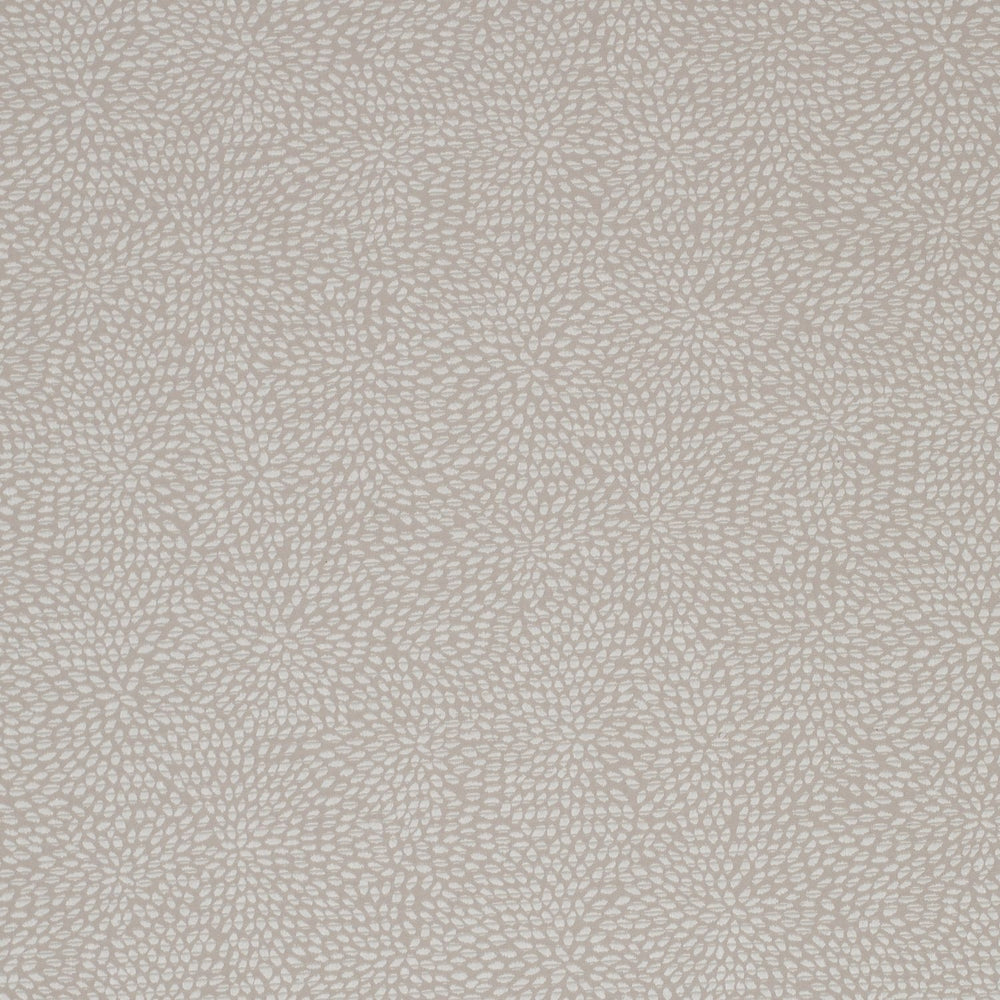 Corolla Pearl Barley