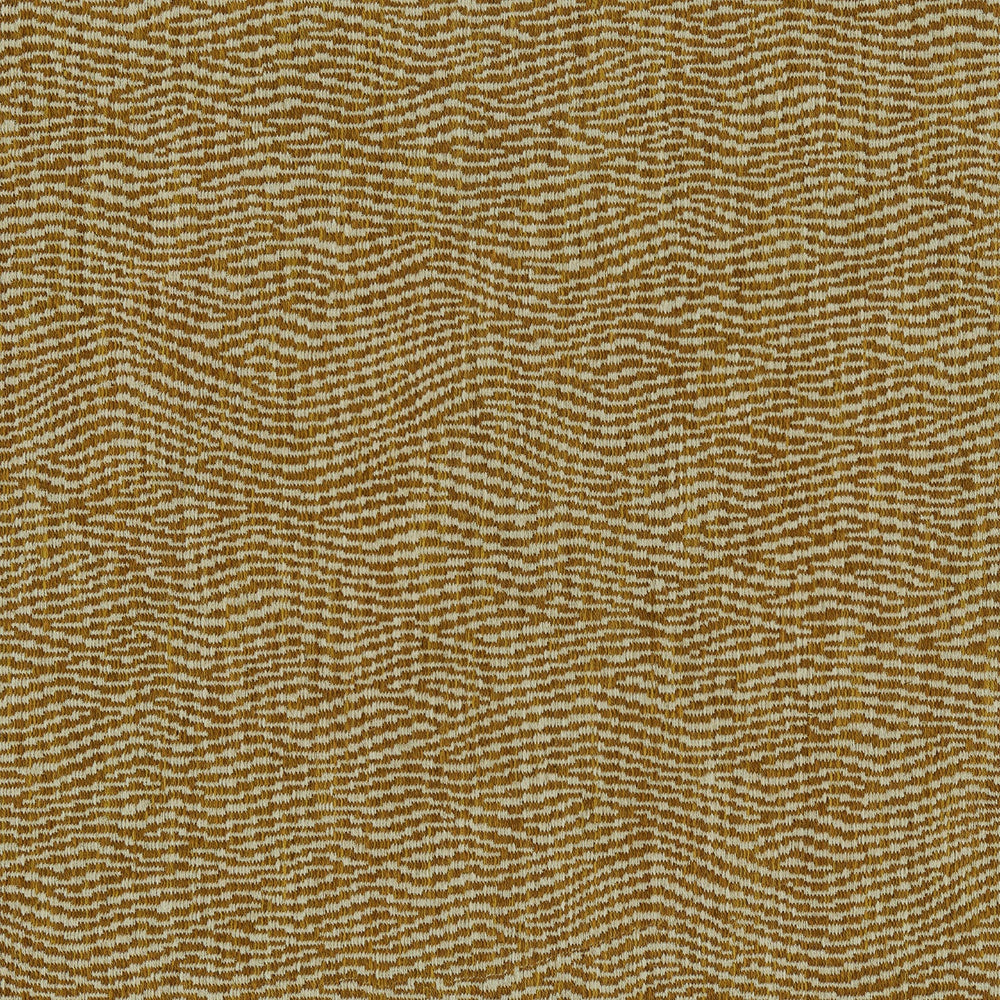 Tidal Apricot