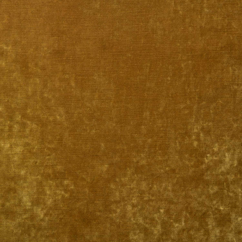 Cosmos Velvet II Amber
