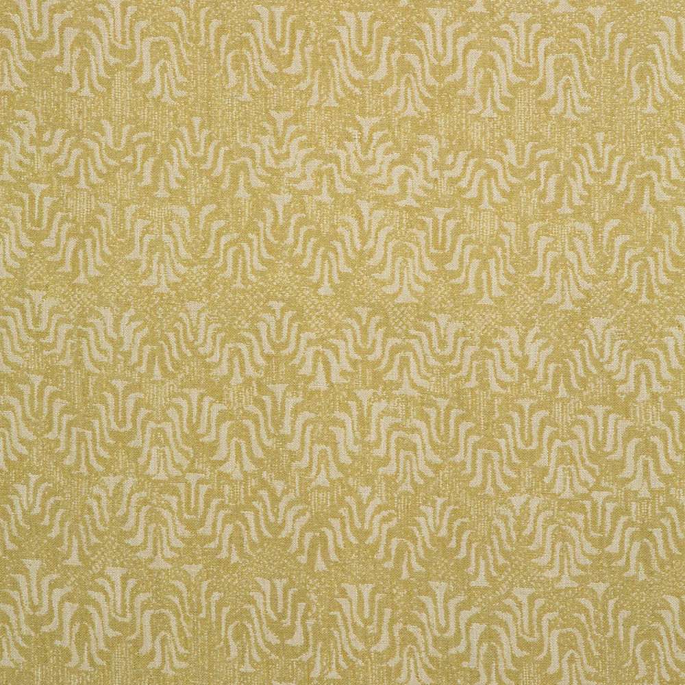 Tyger Maize