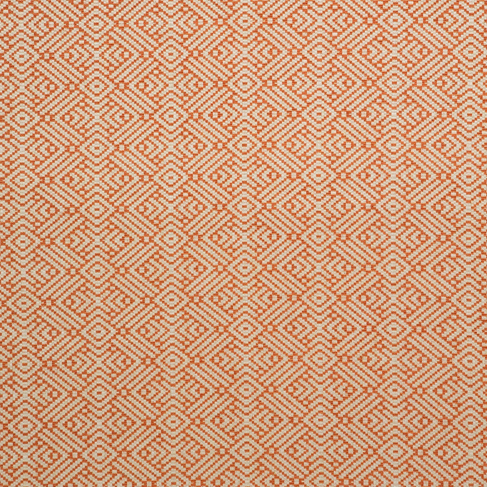 Tanuki Tango