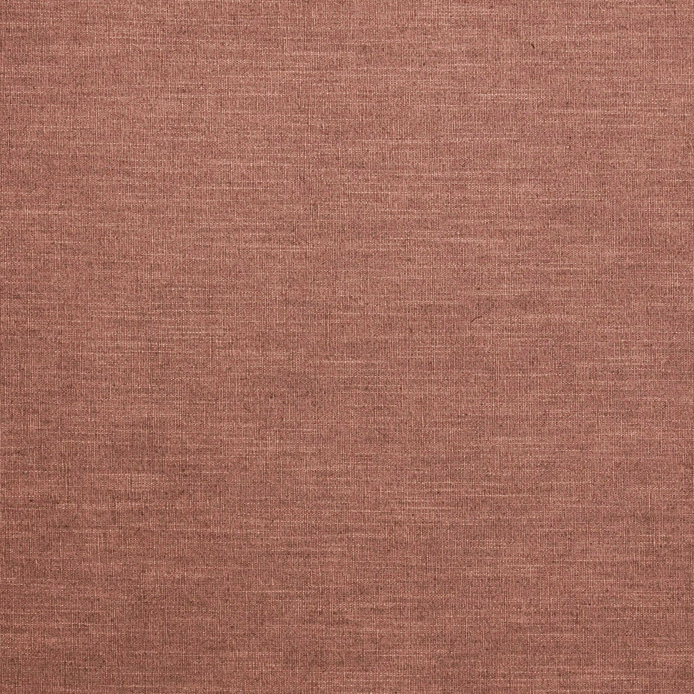 Luna Wild Rose
