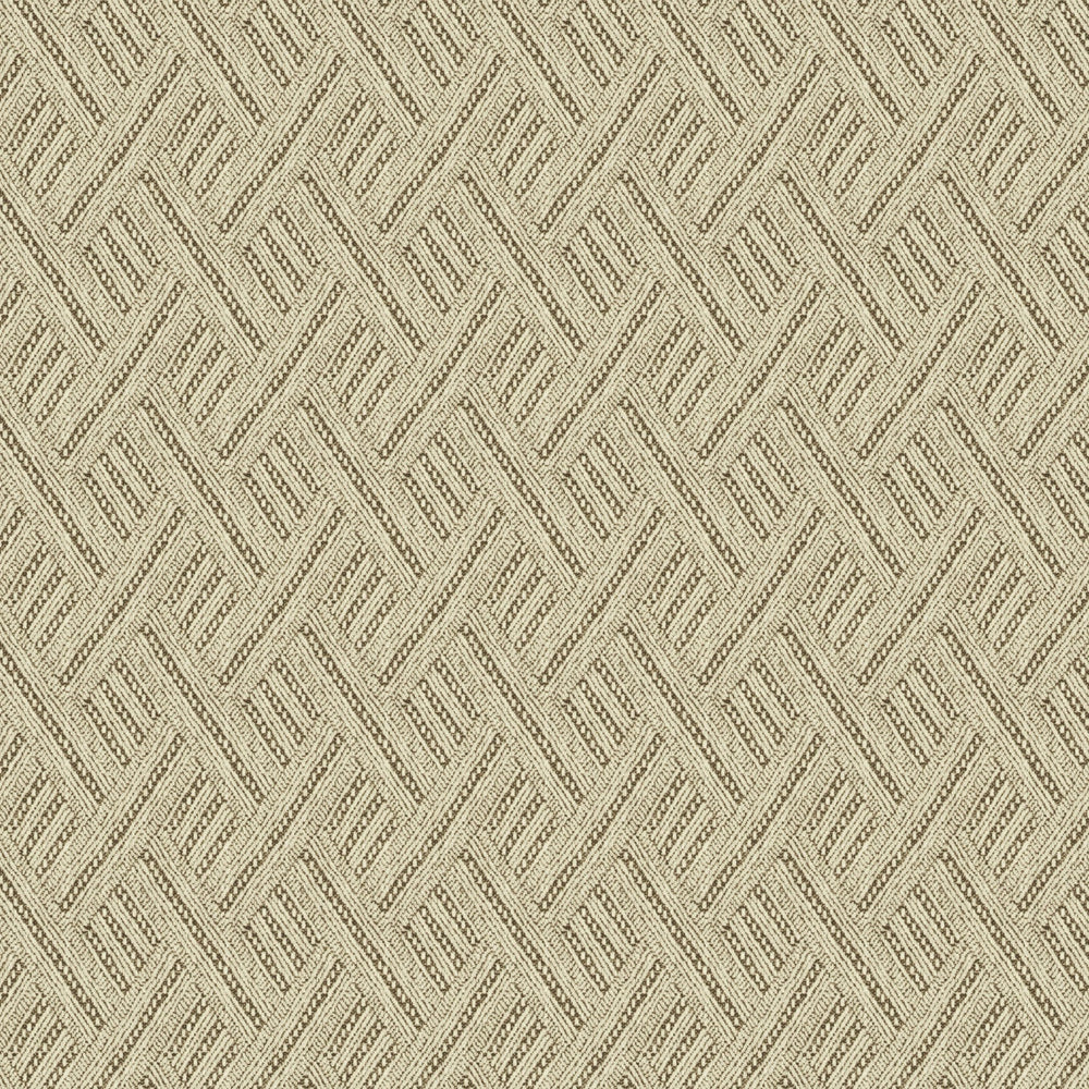 Rumba Ochre