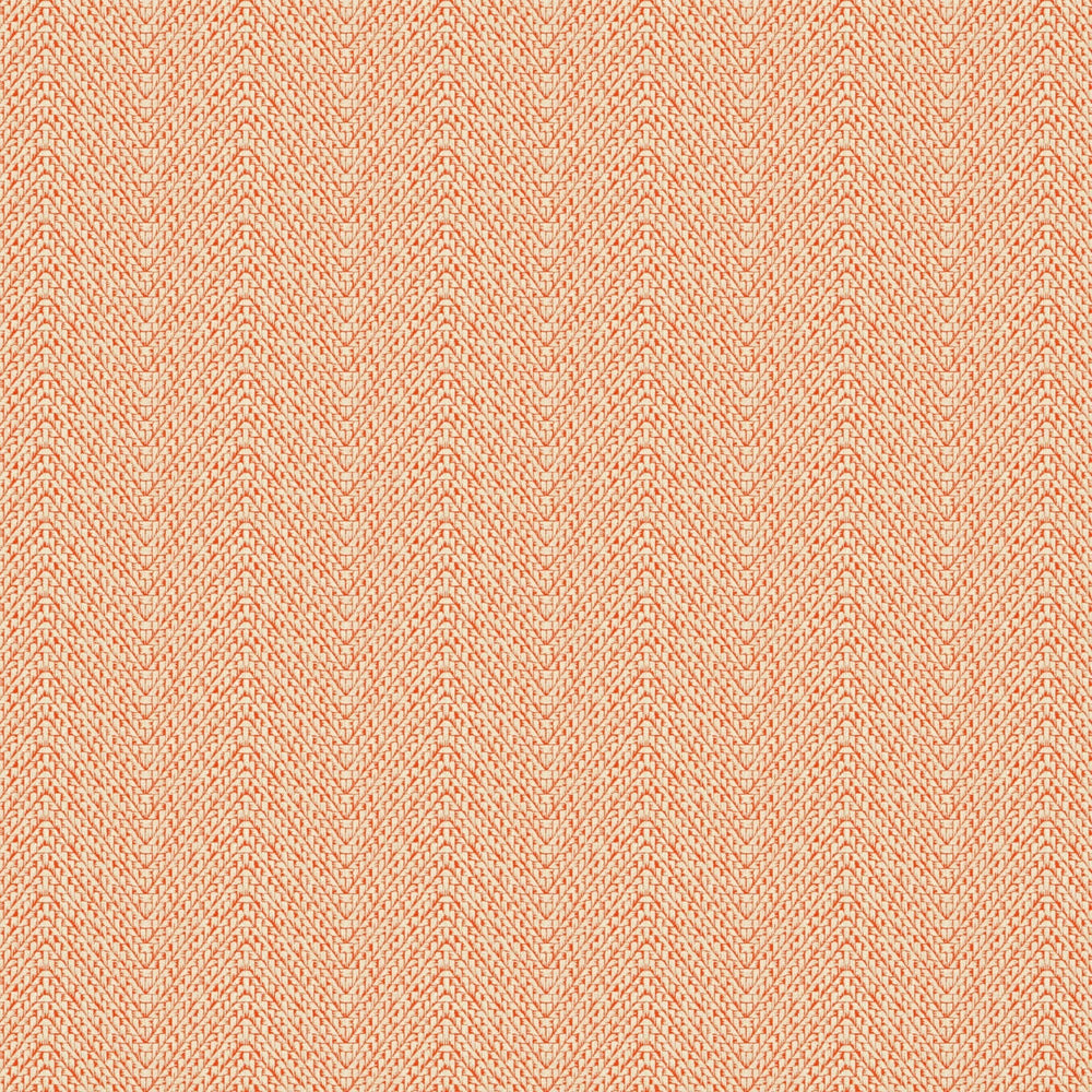 Salta Orange