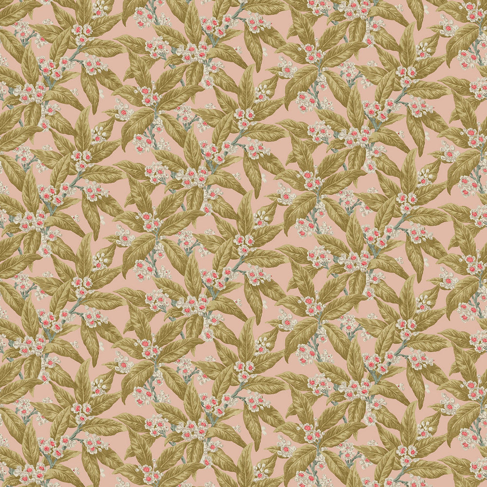 Loseley Velvet Peach