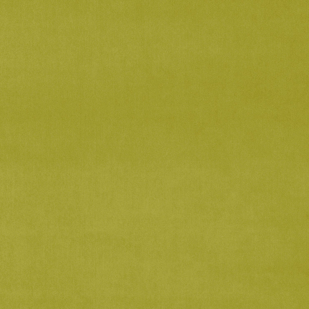 Omega Wattle