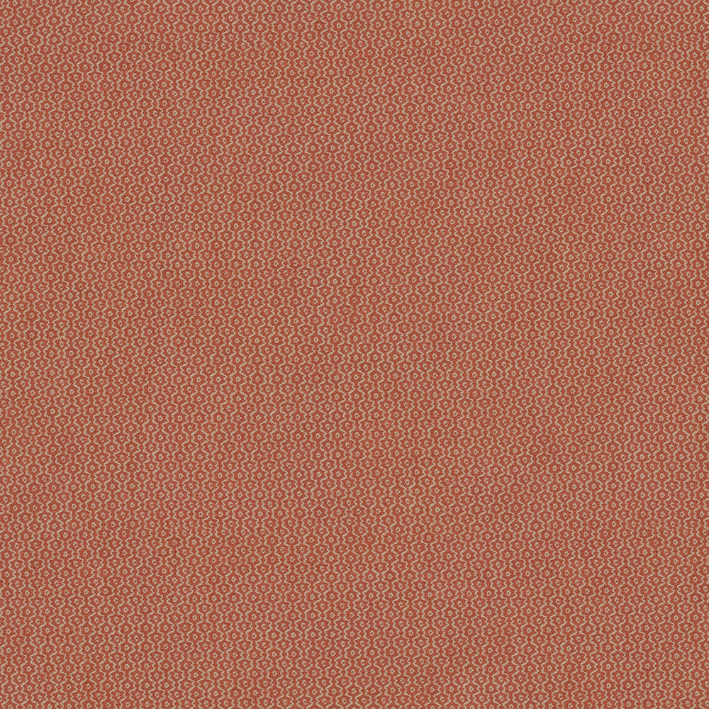 Ripple Salmon
