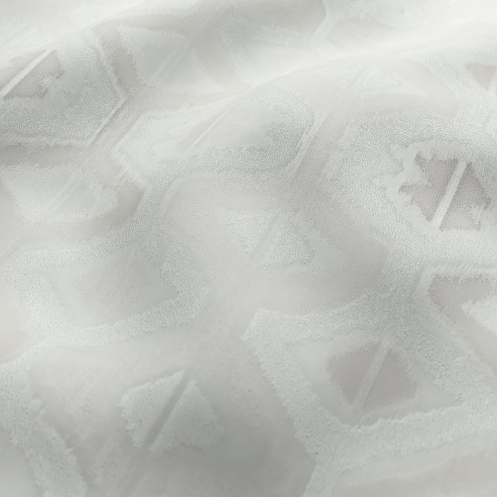 Lattice Swan