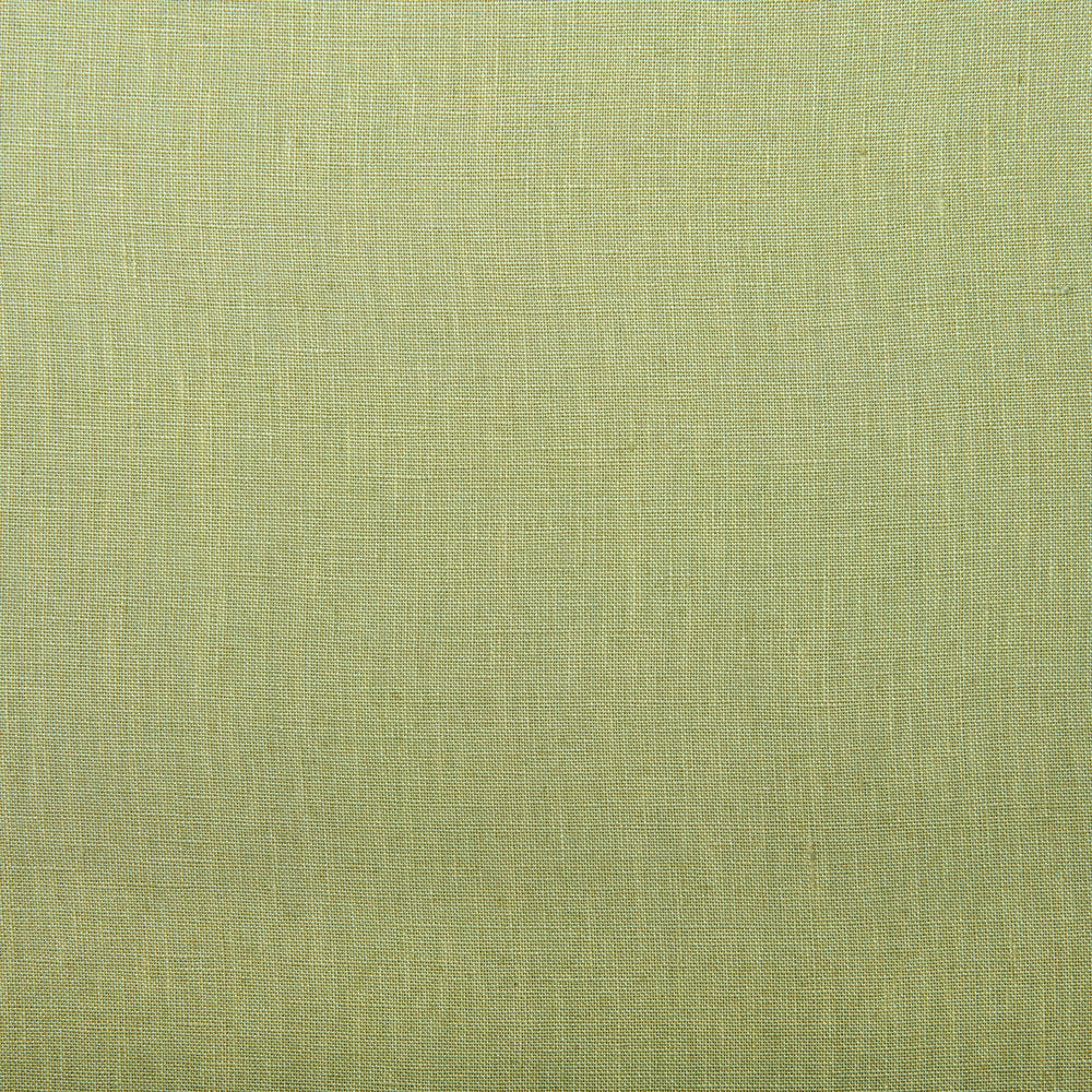 Marietta Wheatgrass