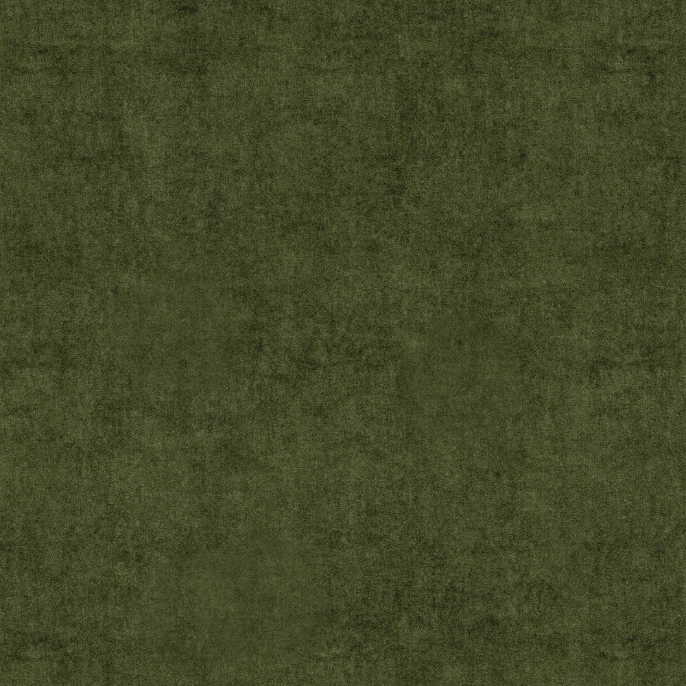 NoMo Fern