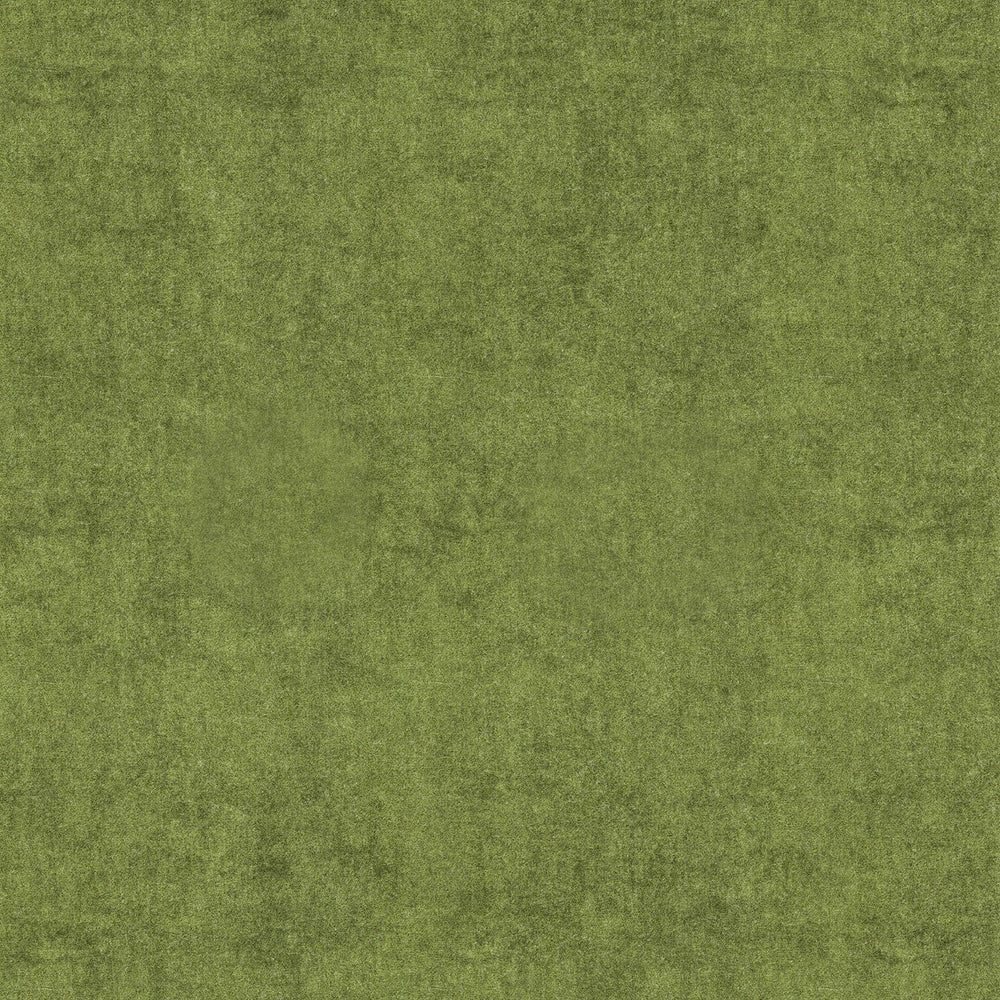 NoMo Lawn