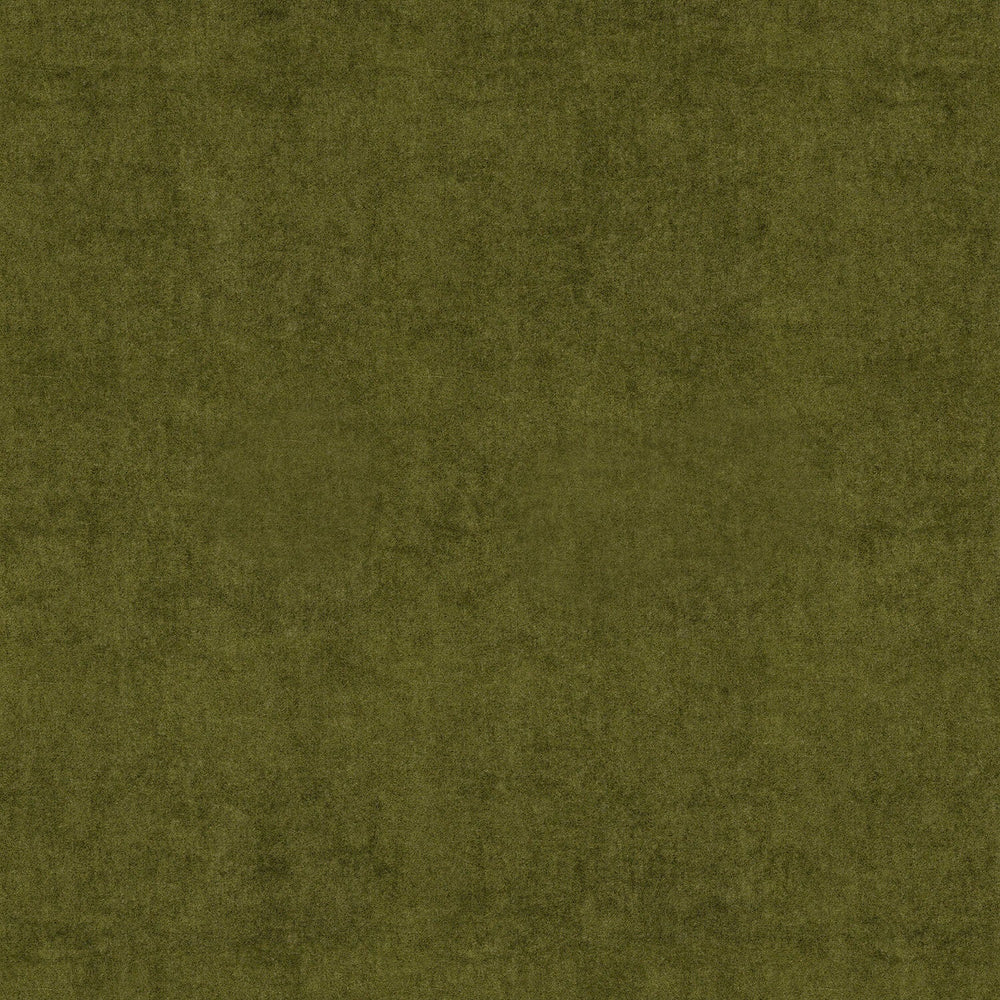 NoMo Moss