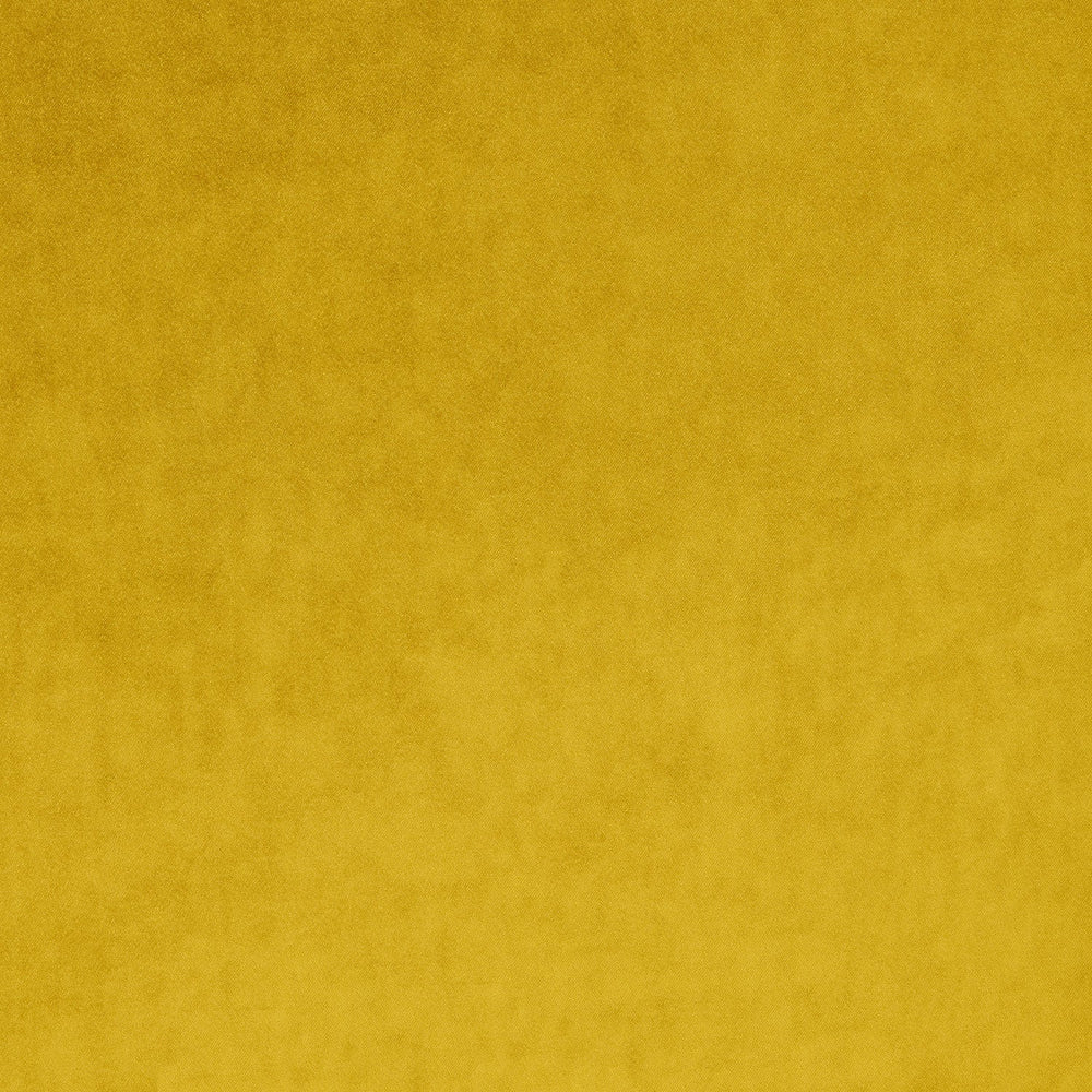 Omega Canary
