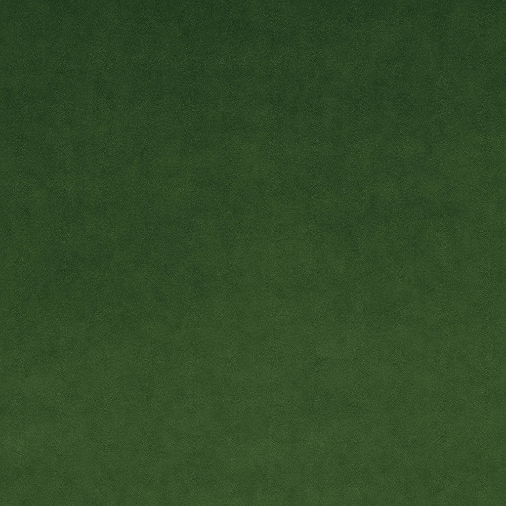 Omega Fern