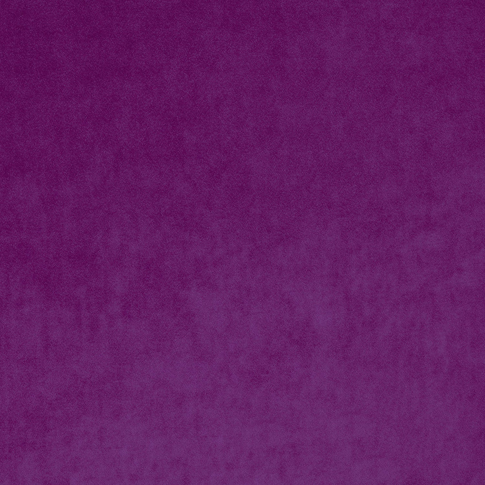 Omega Orchid