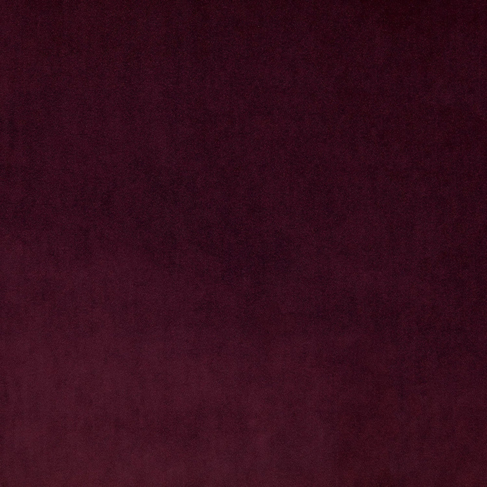 Omega Pinot Noir