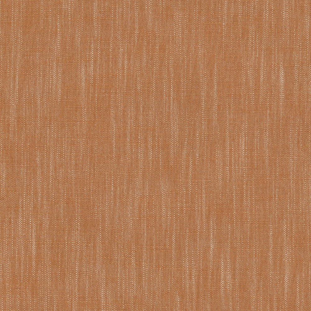 Pluto Coral