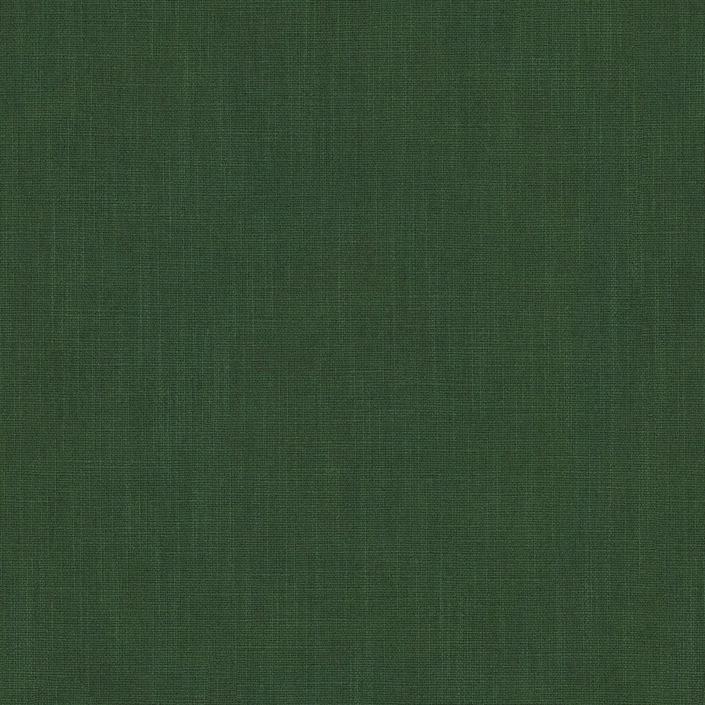 Pluto Jungle