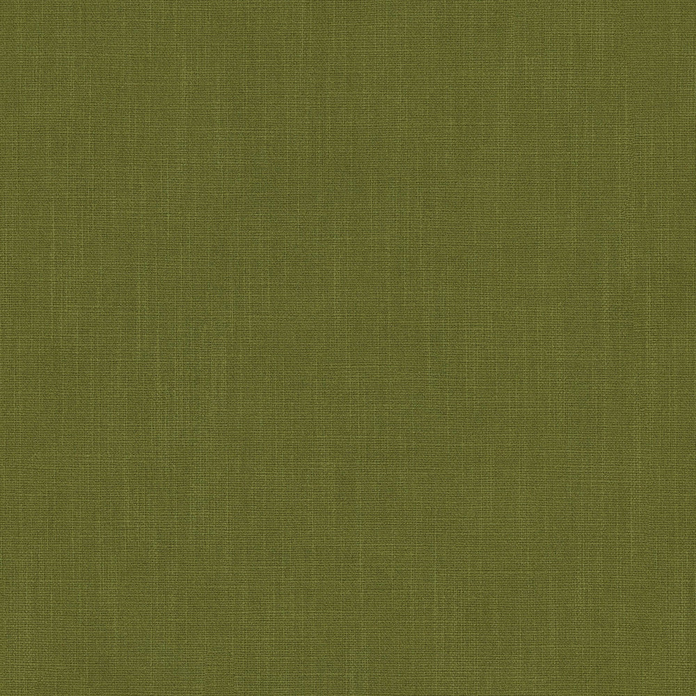 Pluto Olive