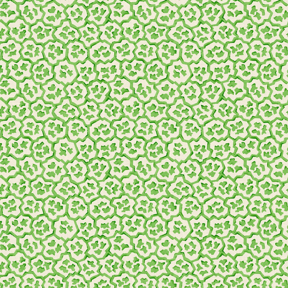 Hopscotch Frog