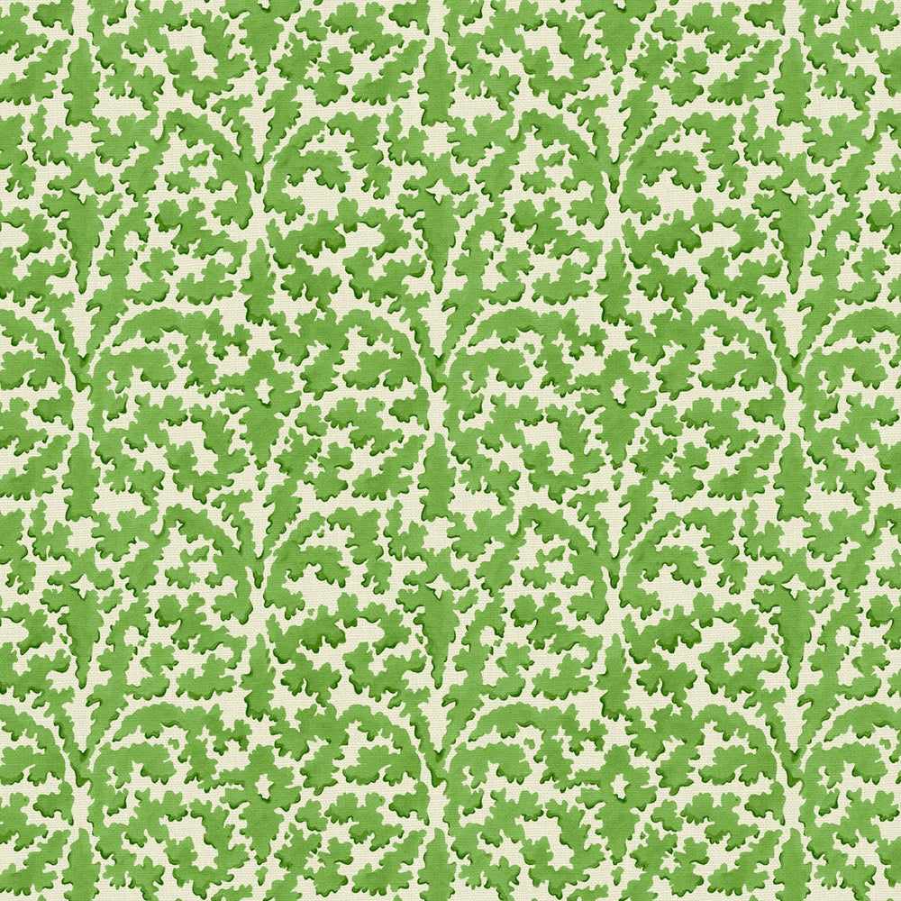 Bagatelle Moss