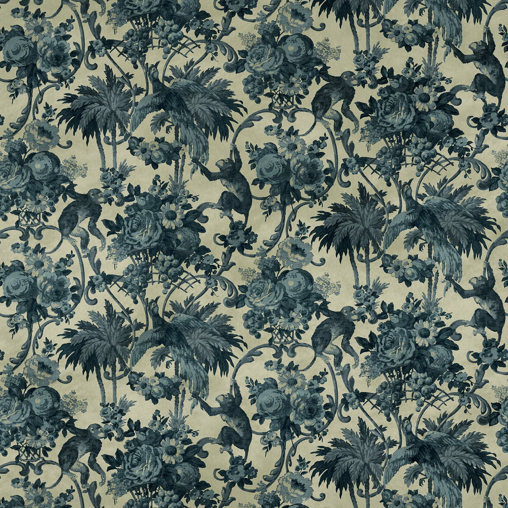 Monkey Puzzle Old Blue