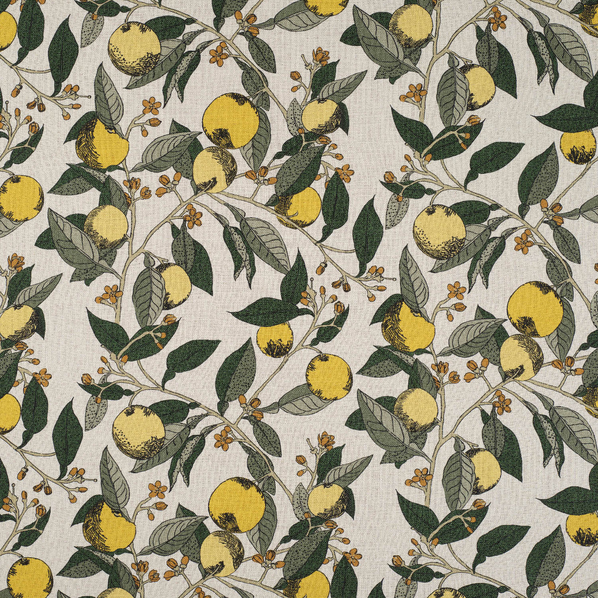 James Hare Orange Grove Lemon and Lime Made to Measure Curtains
