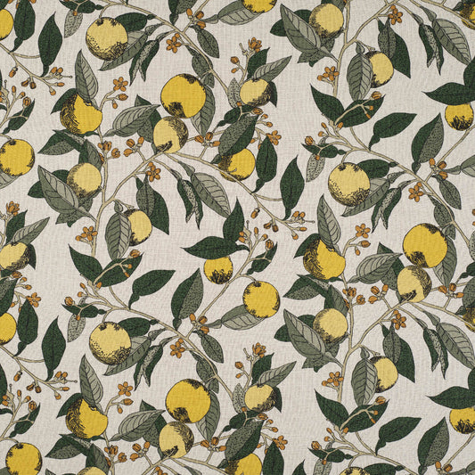 James Hare Orange Grove Lemon and Lime Made to Measure Roman Blinds