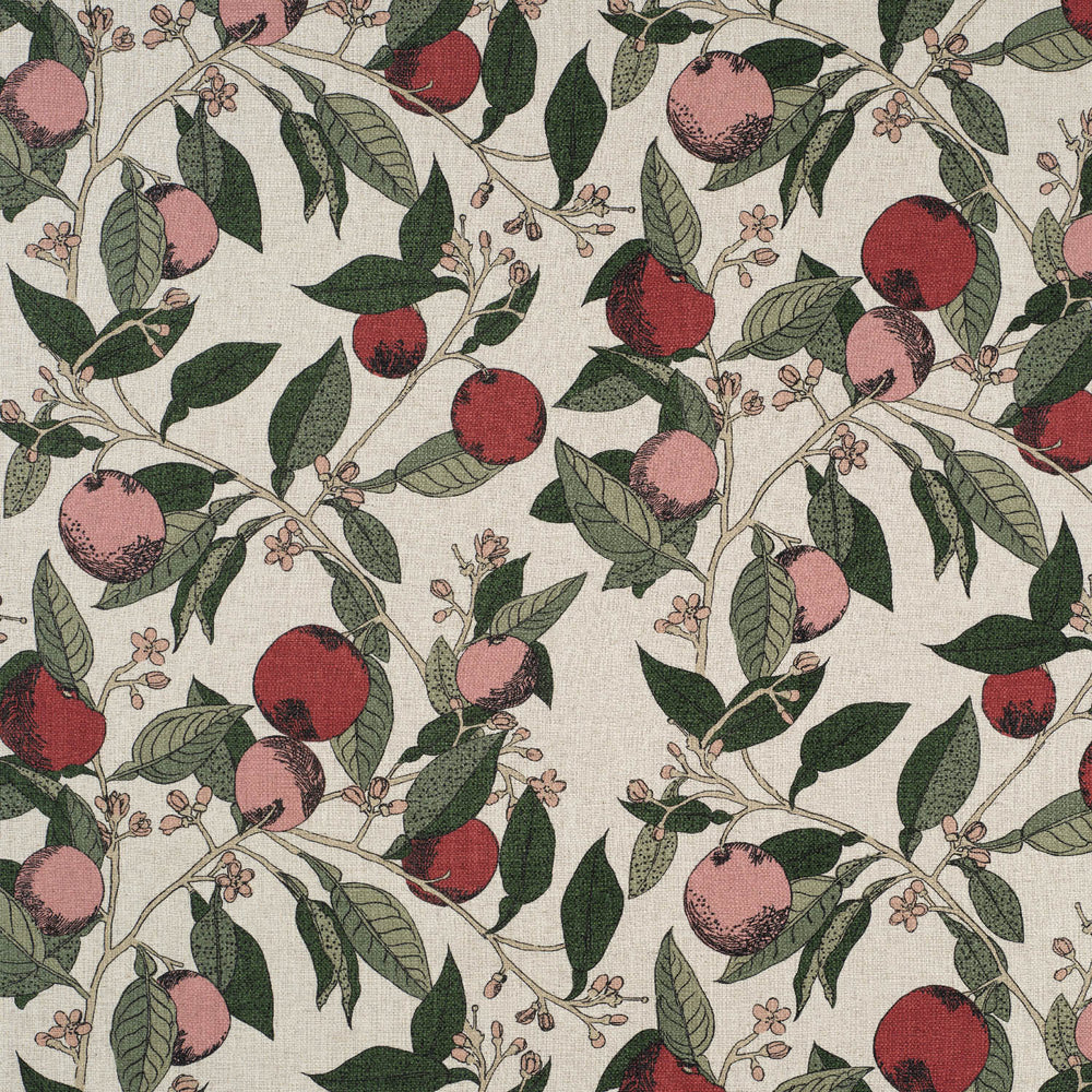 Orange Grove Cherry Rose