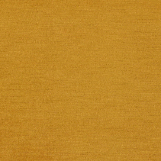 Cooshy Honey Gold Velvet 100% Recycled Fabric