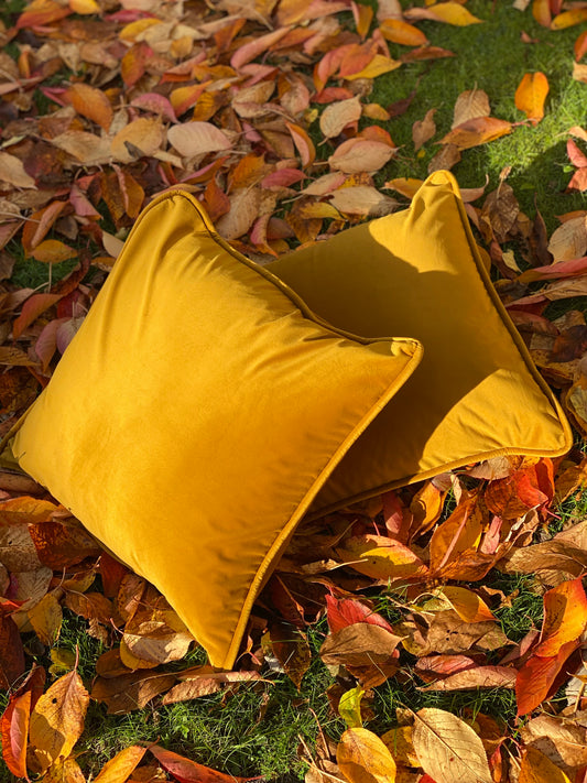 Pollen Gold Recycled Velvet Cushion by Cooshy