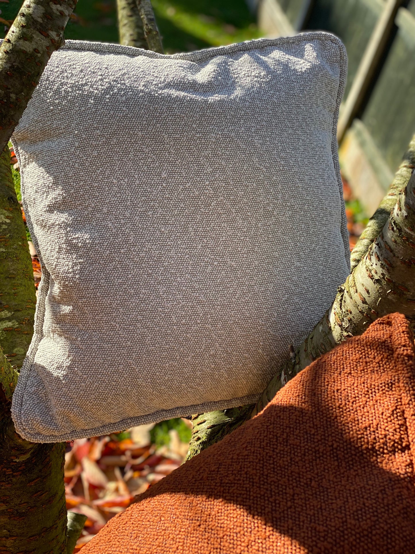 Cooshy cushion salt grey boucle in tree photoshoot 