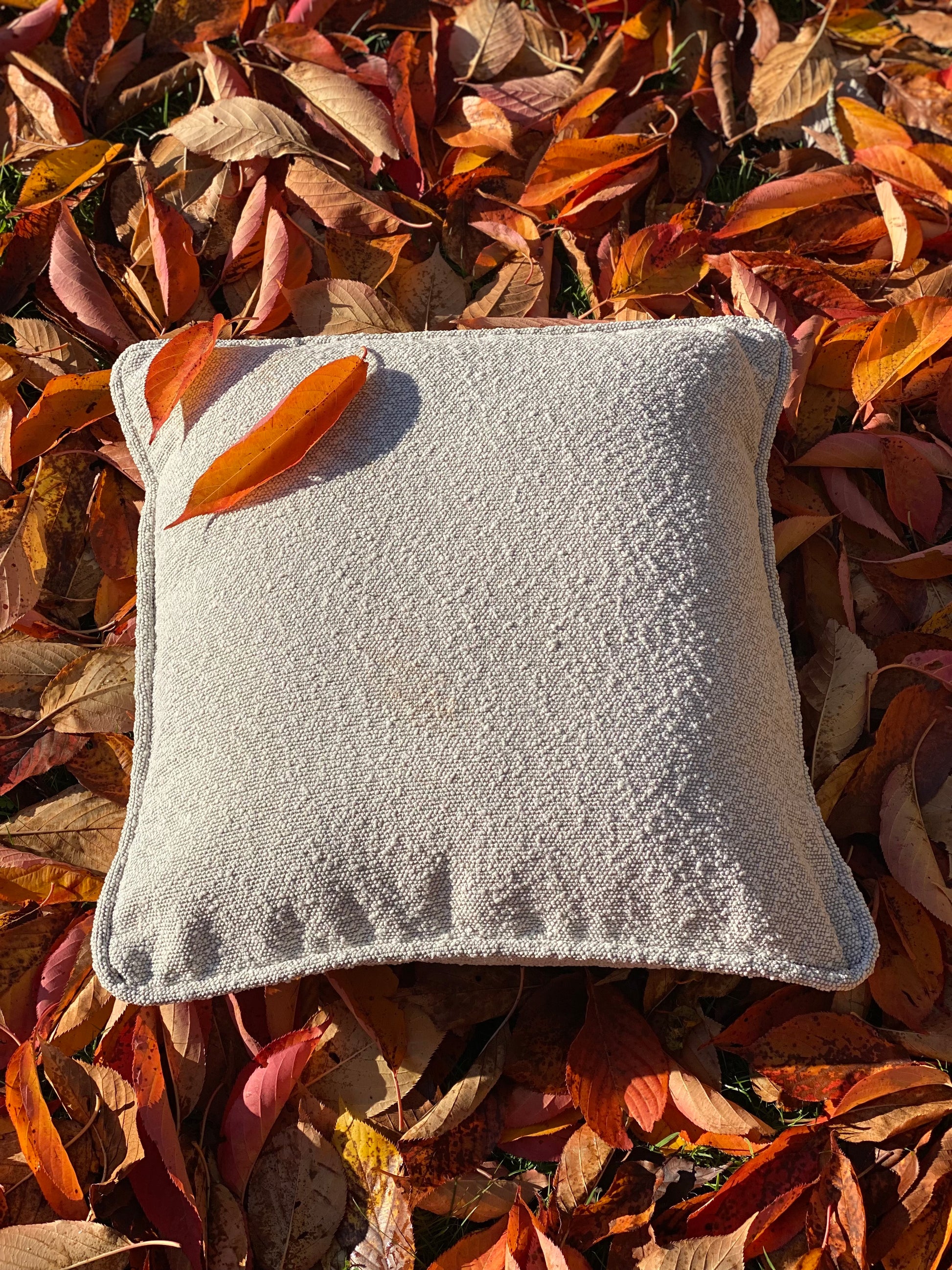 Cooshy Cushion Salt Grey Boucle fabric on leaves 