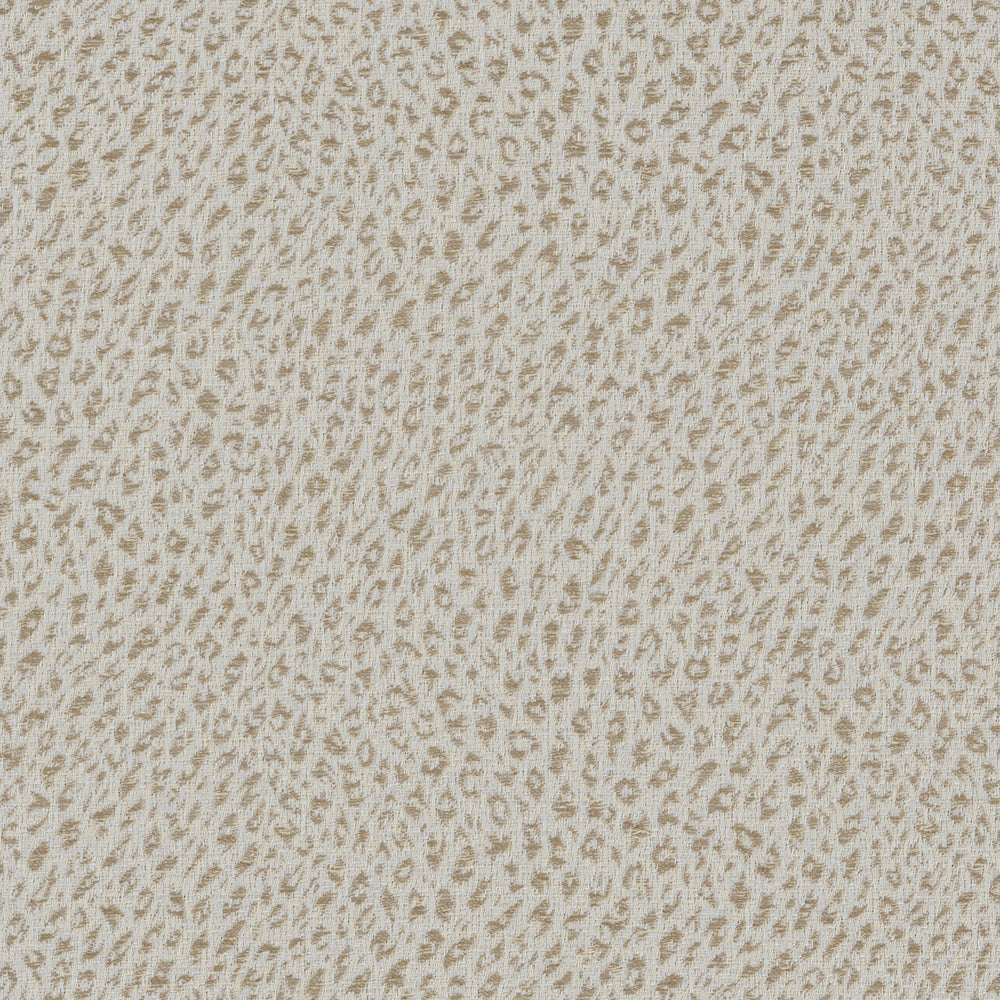Leopard Savannah