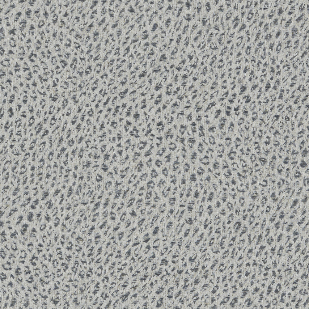 Leopard Tidal