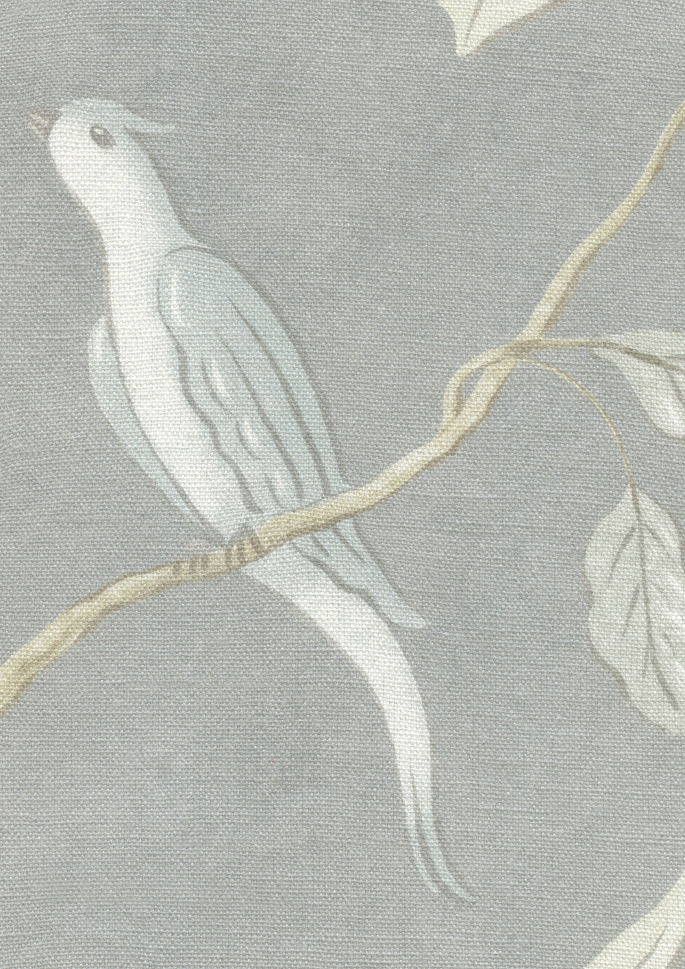 Adam's Eden Honey Dove