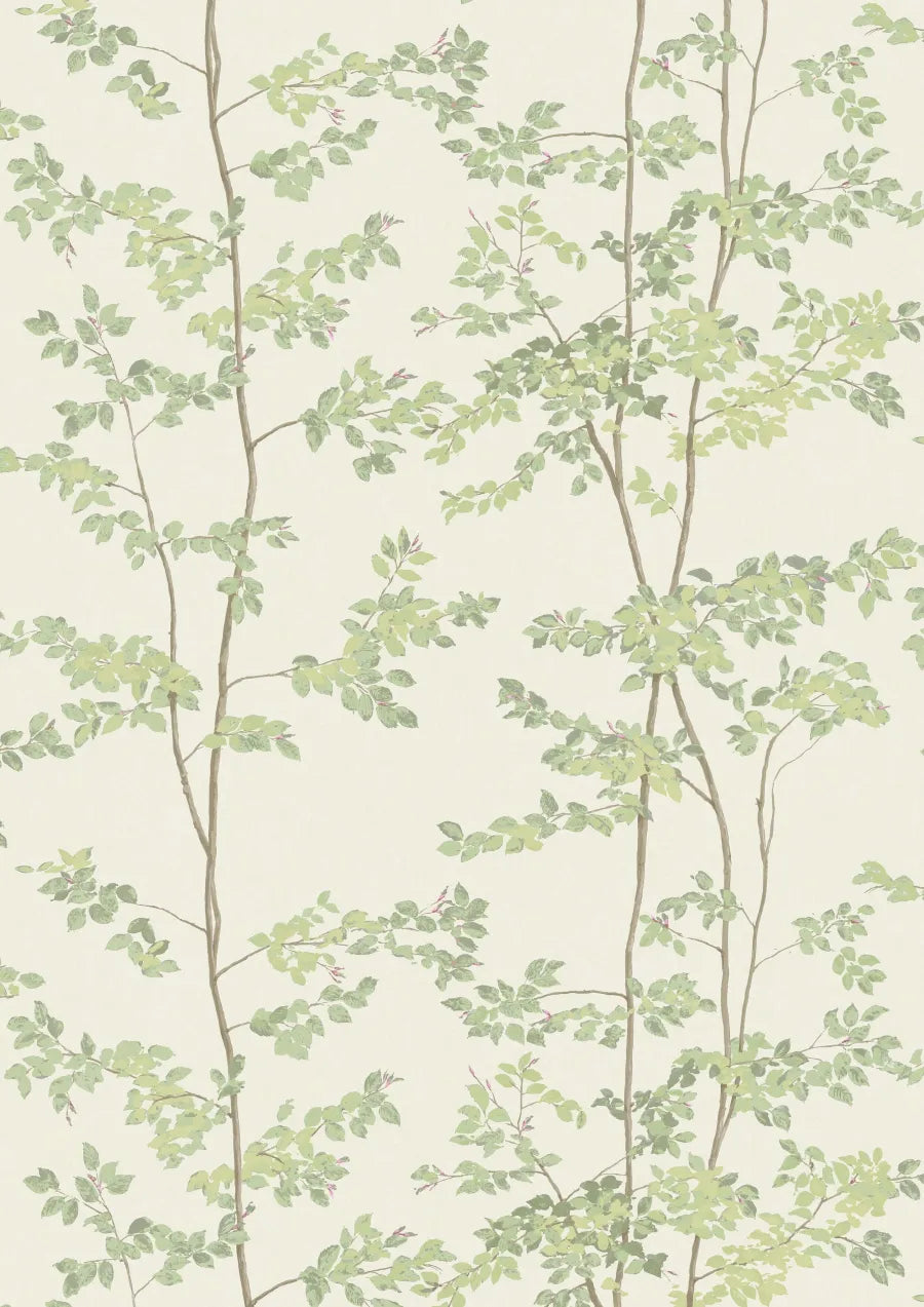 Lewis & Wood Beech Document Green Made to Measure Roman Blinds – full width