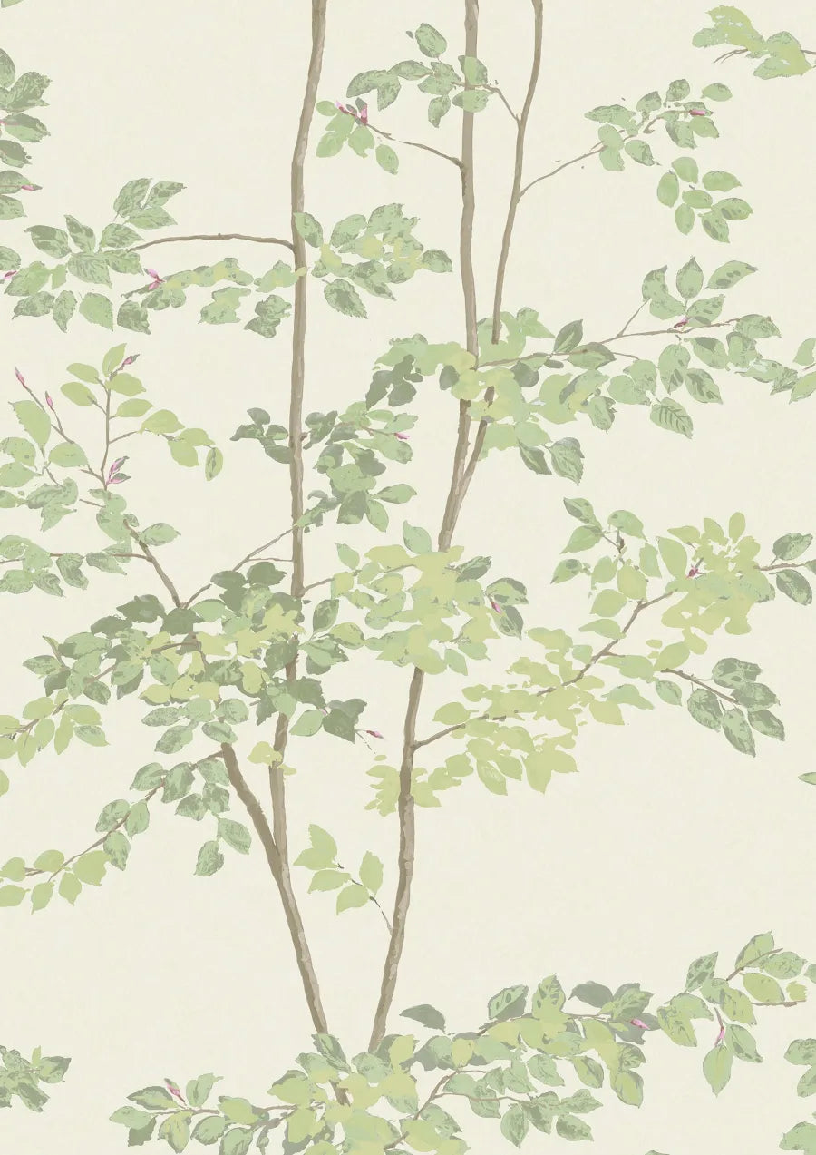 Lewis & Wood Beech Document Green Made to Measure Roman Blinds – close-up