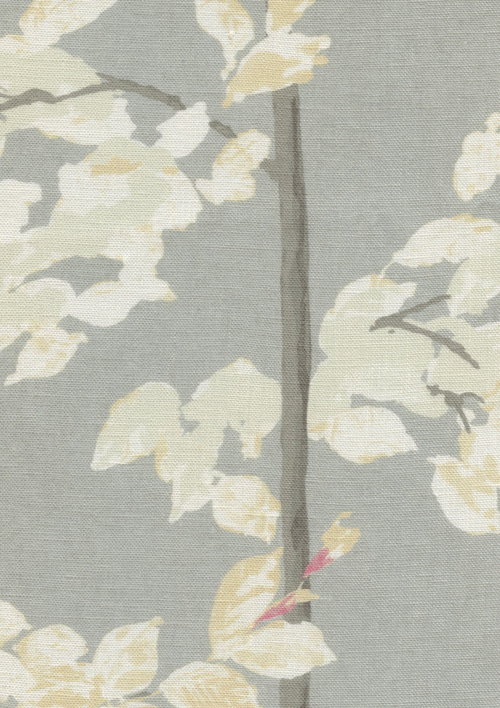 Beech Dove