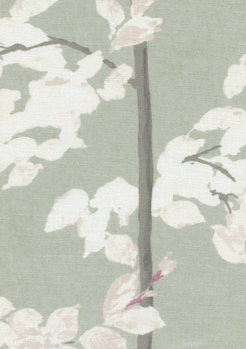 Beech Jade