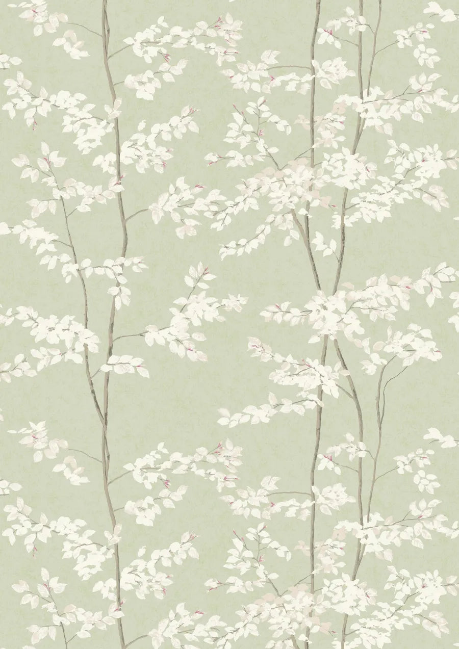 Lewis & Wood Beech Jade Made to Measure Roman Blinds – full width