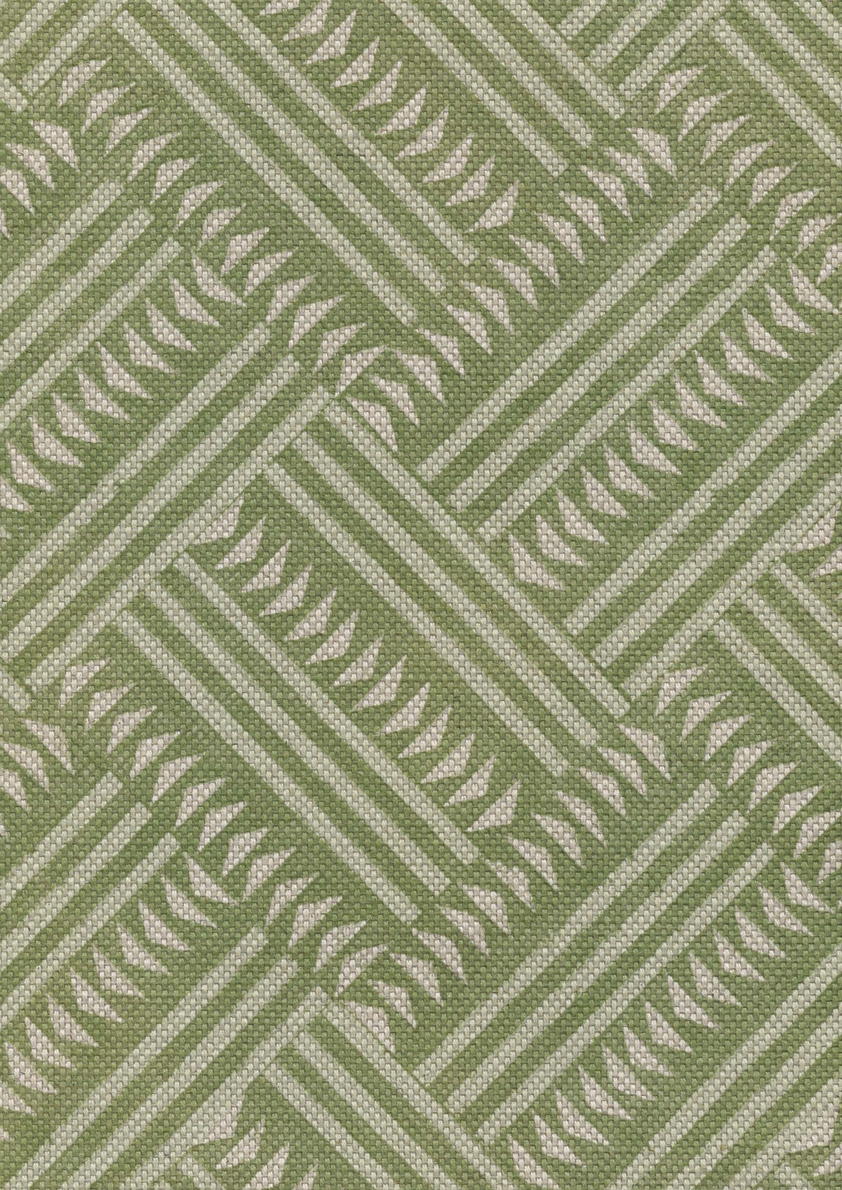 Lewis & Wood Checkerbox Cactus Made to Measure Roman Blinds – fabric detail