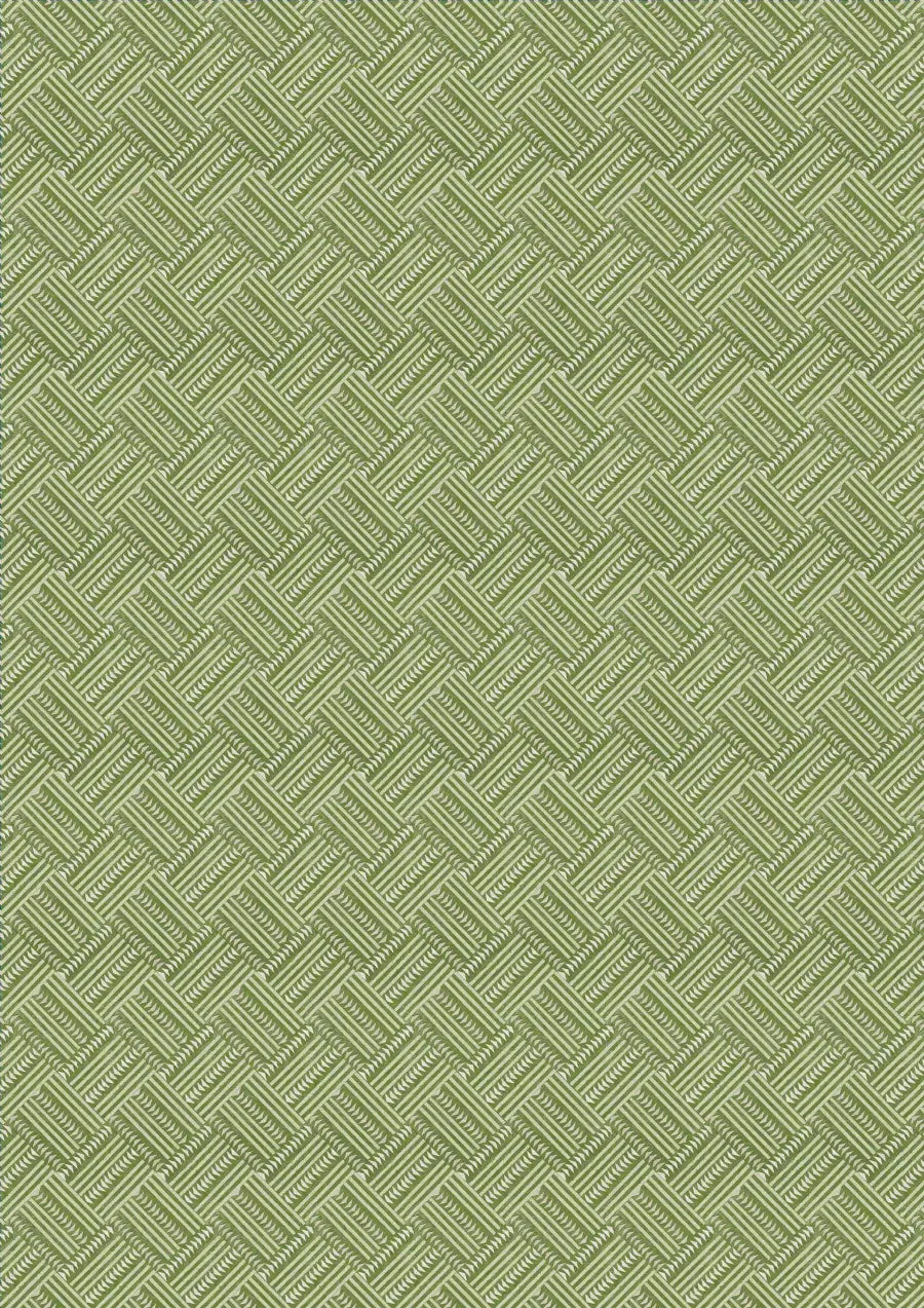 Lewis & Wood Checkerbox Cactus Made to Measure Curtains – full width